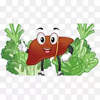 剪贴画肝脏插图食物图像-肝脏卡通-空若网 剪贴画肝脏插图食物图像-肝脏卡通-空若网