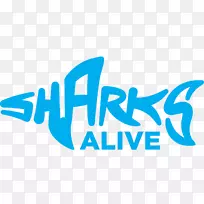 商标鲨鱼品牌教育字体-鱼翅-空若网 商标鲨鱼品牌教育字体-鱼翅-空若网