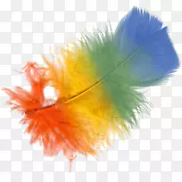 AdobePhotoshop psdpngͼƬadobeϵͳ������ļ�.��ɫ��ë-������