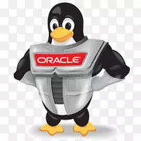 Oracle Linux oracle公司VirtualBox Linux发行版-Linux-空若网 Oracle Linux oracle公司VirtualBox Linux发行版-Linux-空若网