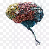 神经学神经科学脑视觉叙事录像脑技术-空若网 神经学神经科学脑视觉叙事录像脑技术-空若网