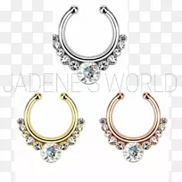 耳环、隔膜、穿孔鼻子、穿孔体首饰.珠宝-空若网 耳环、隔膜、穿孔鼻子、穿孔体首饰.珠宝-空若网