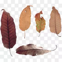 png图片adobe Photoshop摄影剪贴画-空若网 png图片adobe Photoshop摄影剪贴画-空若网