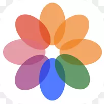 电脑壁纸花对称花瓣圆图-空若网 电脑壁纸花对称花瓣圆图-空若网