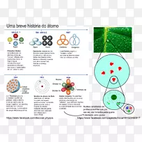 ԭ������¬ɪ��ģ�Ͳ���ԭ�ӿ�ѧģ��-������