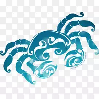 ��֢ռ��ѧ����ռ�����������-������