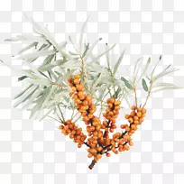 沙棘素食料理沙棘油奥格里斯果汁-空若网 沙棘素食料理沙棘油奥格里斯果汁-空若网