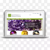 多媒体产品-哈佛商学院出版-空若网 多媒体产品-哈佛商学院出版-空若网