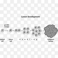 癌症的肿瘤治疗-癌细胞透明-空若网 癌症的肿瘤治疗-癌细胞透明-空若网