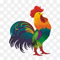 图解摄影公鸡展览-公鸡-空若网 图解摄影公鸡展览-公鸡-空若网