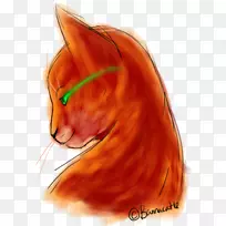 家猫须短毛猫鼻子猫-空若网 家猫须短毛猫鼻子猫-空若网