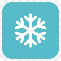 Ҷ�Գ�������ˮѩƬ-������