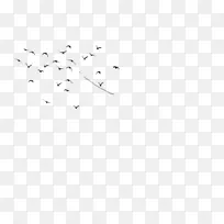 编辑png图片Picart图片工作室图片adobe Photoshop-8月15日PicsArt-空若网 编辑png图片Picart图片工作室图片adobe Photoshop-8月15日PicsArt-空若网