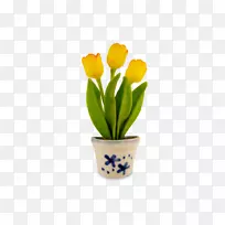郁金香花切花花瓣花盆郁金香-空若网 郁金香花切花花瓣花盆郁金香-空若网