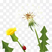 �ѹ�Ӣͼ�β�ͼͼ���ѹ�Ӣ-������