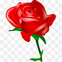 玫瑰花爱情剪贴画-玫瑰PNG图片下载-空若网 玫瑰花爱情剪贴画-玫瑰PNG图片下载-空若网