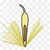 剪贴画商品叶草产品设计-叶-空若网 剪贴画商品叶草产品设计-叶-空若网