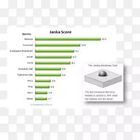 竹木地板硬度试验-竹子-空若网 竹木地板硬度试验-竹子-空若网