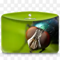 蝴蝶传粉动物无脊椎昆虫文件夹自然昆虫-空若网 蝴蝶传粉动物无脊椎昆虫文件夹自然昆虫-空若网