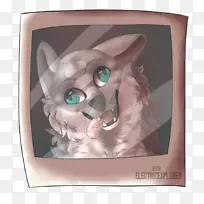 ºúÐëè¹·±Ç×ÓÈ®¿ÆÃ¨-¿ÕÈôÍø ºúÐëè¹·±Ç×ÓÈ®¿ÆÃ¨-¿ÕÈôÍø