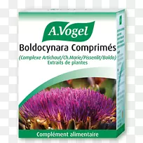 开花植物Vogel肝胆囊滴落品牌花-空若网 开花植物Vogel肝胆囊滴落品牌花-空若网