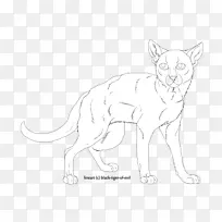 ����è����������Ұ������-è-������