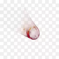 编辑博客设计者Faizaan分形png图片.光环-空若网 编辑博客设计者Faizaan分形png图片.光环-空若网