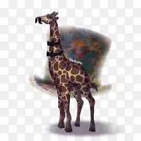 长颈鹿野生动物陆生动物长颈鹿-空若网 长颈鹿野生动物陆生动物长颈鹿-空若网