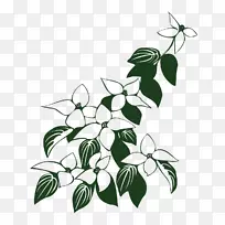 开花的山茱萸画图形剪辑艺术.花-空若网 开花的山茱萸画图形剪辑艺术.花-空若网