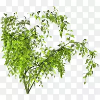 pngͼƬ����֧����������ͼ����-������