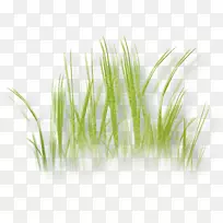 ²Ý±¾Ö²Îï»æÖÆ²ÝƺͼÏñ-²Ý-¿ÕÈôÍø ²Ý±¾Ö²Îï»æÖÆ²ÝƺͼÏñ-²Ý-¿ÕÈôÍø