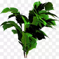 pngͼƬ��������ͼ��adobe Photoshop�ļ���ʽ-�㽶-������