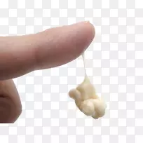 �׽�������ͼ������ʳ�������-������