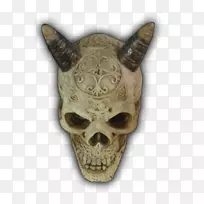 头盖骨-空若网 头盖骨-空若网