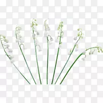 薰衣草花卉设计切花植物茎百合的山谷图标-空若网 薰衣草花卉设计切花植物茎百合的山谷图标-空若网