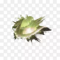 叶图形植物茎开花植物叶-空若网 叶图形植物茎开花植物叶-空若网