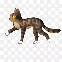 胡须猫动物尾巴动物-猫-空若网 胡须猫动物尾巴动物-猫-空若网