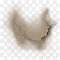 近距离观察人类鼻部裂痕-空若网 近距离观察人类鼻部裂痕-空若网