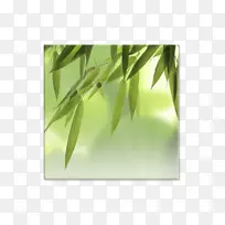 免费图片-竹子-空若网 免费图片-竹子-空若网