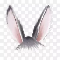 pngͼƬ��Ӱ.EAR-������