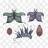 ºûµûÀ¥³æÒíͼ.ºûµû-¿ÕÈôÍø ºûµûÀ¥³æÒíͼ.ºûµû-¿ÕÈôÍø