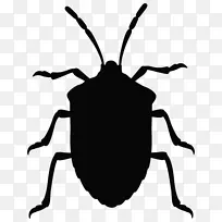 昆虫棕色马氏体臭虫真臭虫图形剪贴画-空若网 昆虫棕色马氏体臭虫真臭虫图形剪贴画-空若网