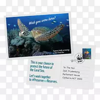 世界自然基金会-澳洲大堡礁世界自然保护基金-生态足迹-空若网 世界自然基金会-澳洲大堡礁世界自然保护基金-生态足迹-空若网