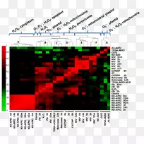 电子邮件客户端热图短信-热图-空若网 电子邮件客户端热图短信-热图-空若网