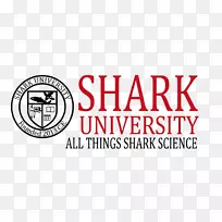 ������ѧ�̱���Ʊ��-���-������