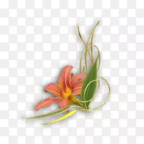 花卉设计png图片花静物摄影装饰-空若网 花卉设计png图片花静物摄影装饰-空若网