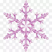 对称图案视觉艺术设计线-雪花透明-空若网 对称图案视觉艺术设计线-雪花透明-空若网