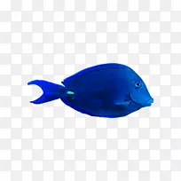 �������Ϻ���-����-������