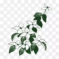 开花山茱萸绘制图形.花-空若网 开花山茱萸绘制图形.花-空若网