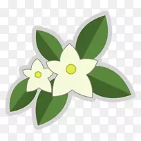 阿拉伯茉莉花比萨店角花图形植物.花-空若网 阿拉伯茉莉花比萨店角花图形植物.花-空若网